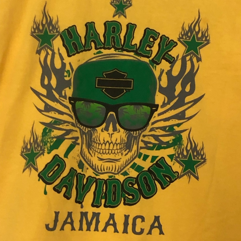 Kids Harley tee